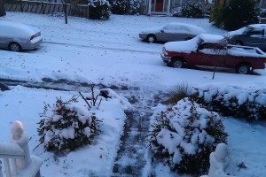 Snowy walk shoveled